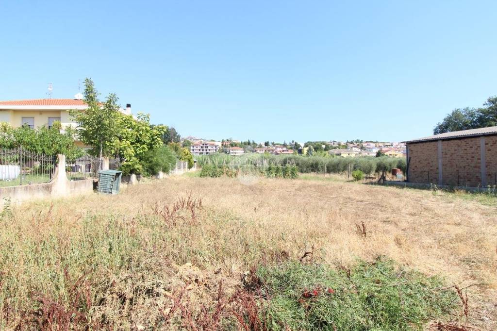 immagine annuncio 7 di 14