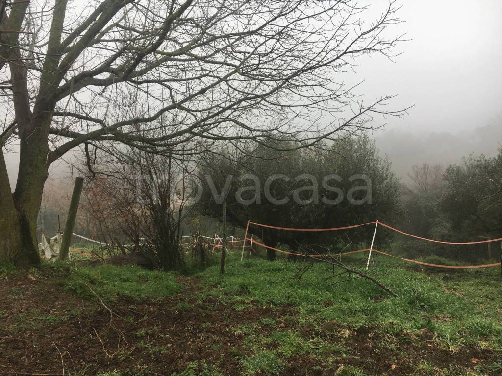 immagine annuncio 2 di 8