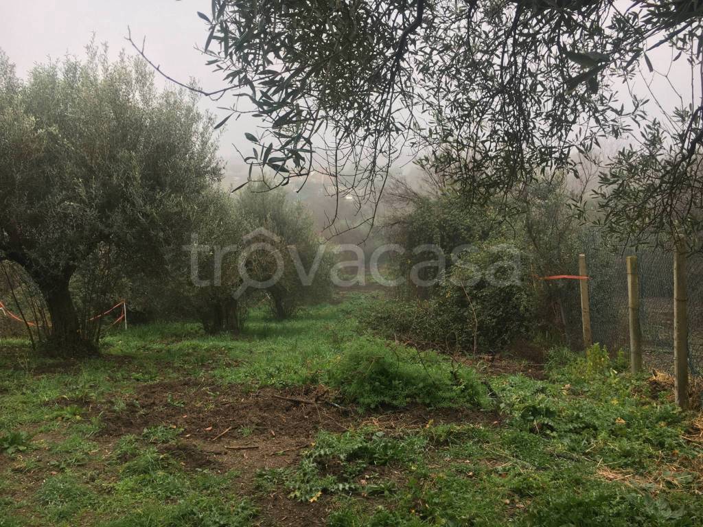 immagine annuncio 6 di 8