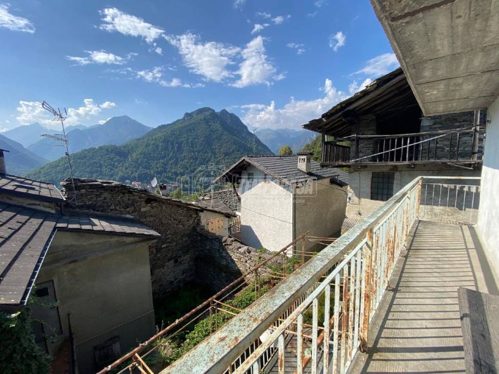 immagine annuncio 5 di 14