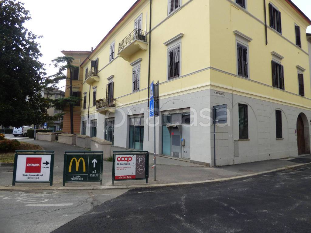 immagine annuncio 1 di 14