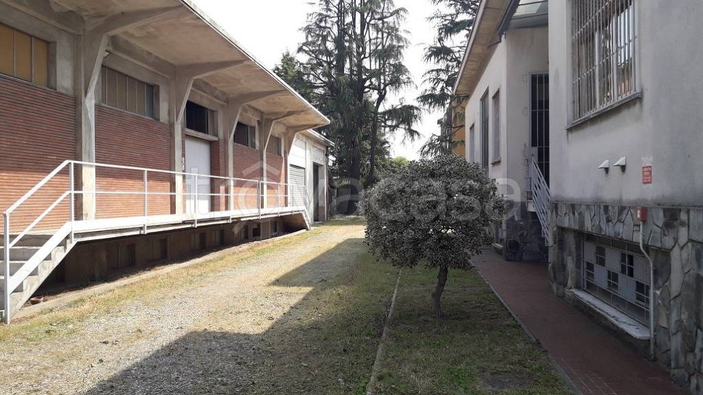 immagine annuncio 3 di 11