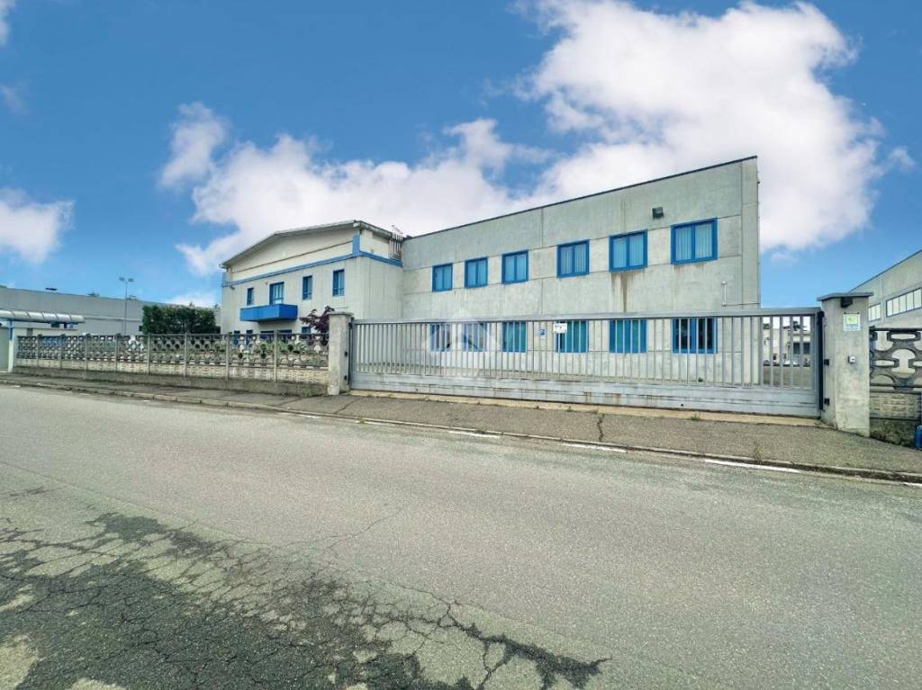 immagine annuncio 1 di 15