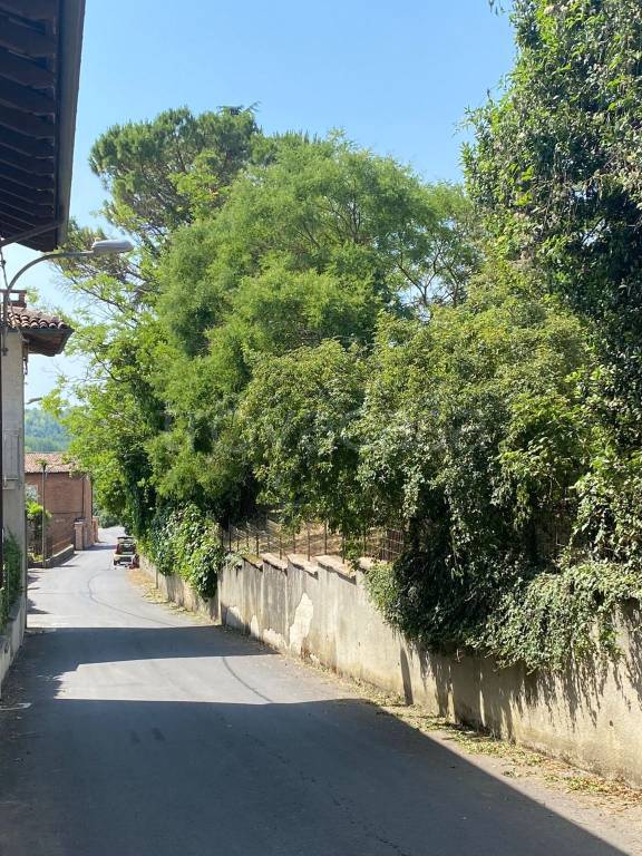 immagine annuncio 3 di 11