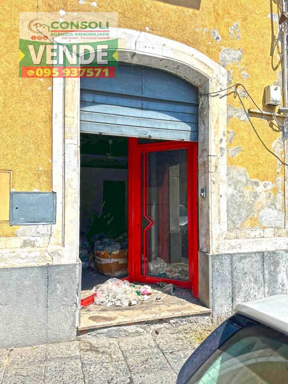 immagine annuncio 4 di 6