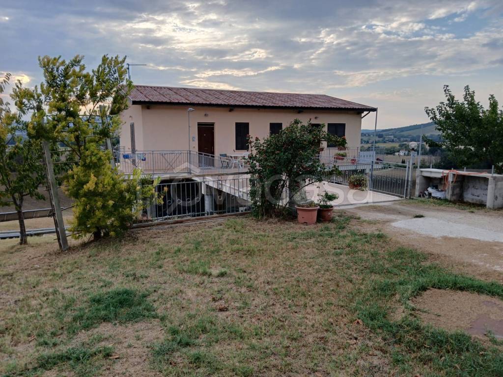 immagine annuncio 2 di 8
