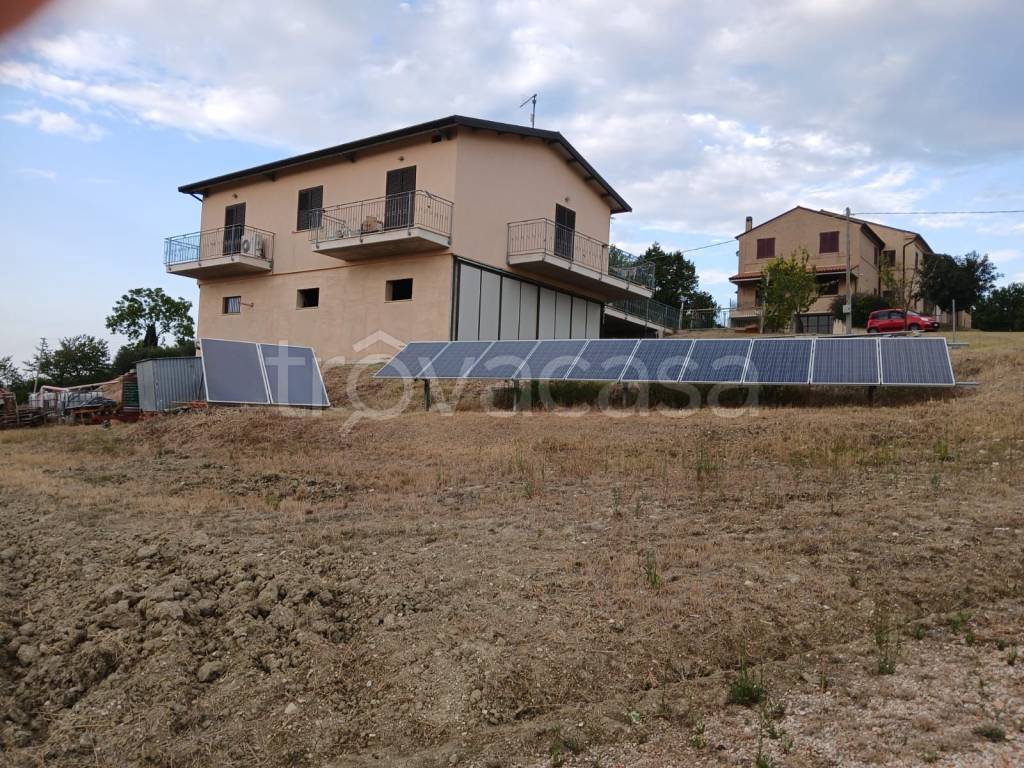 immagine annuncio 4 di 8