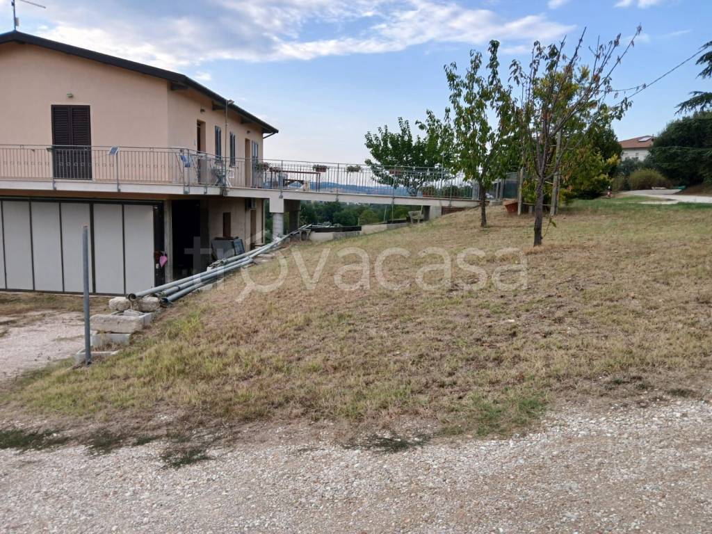 immagine annuncio 5 di 8