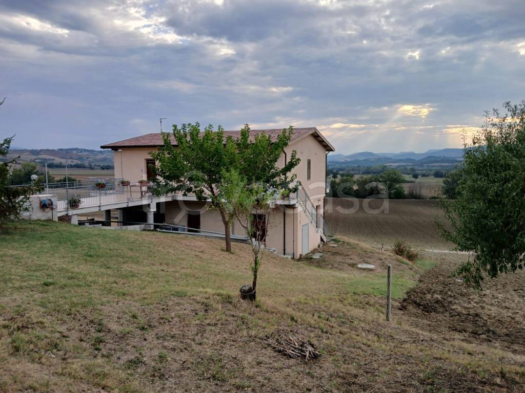 immagine annuncio 6 di 8