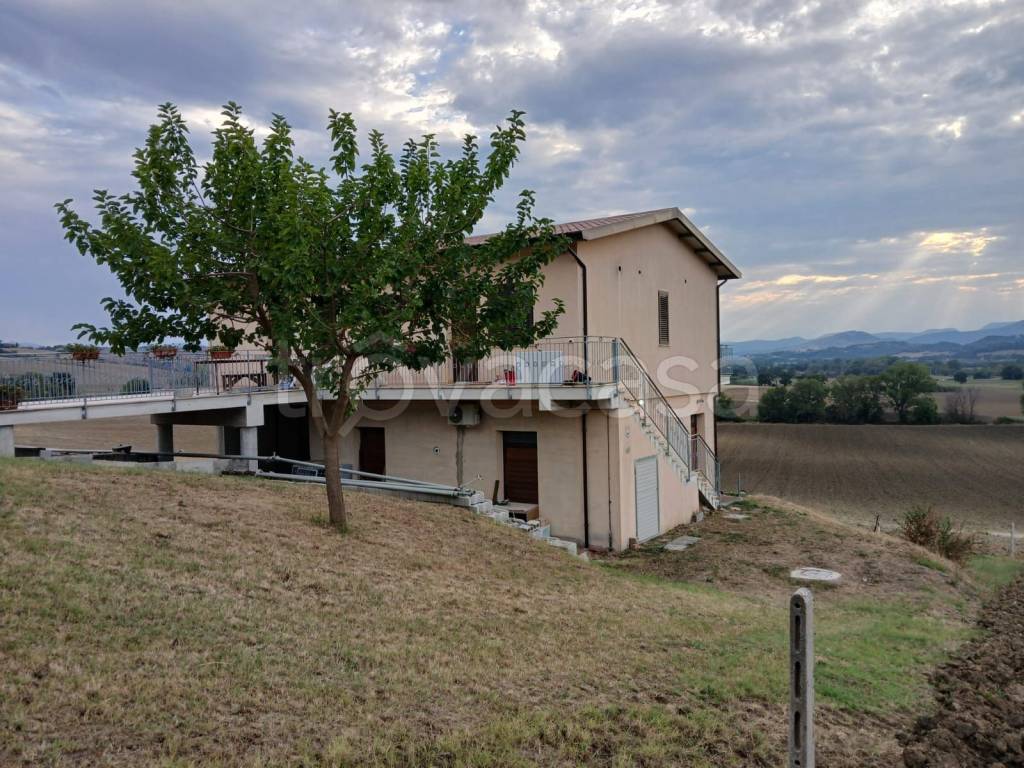 immagine annuncio 7 di 8