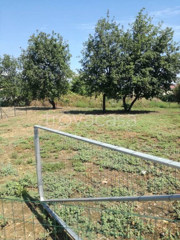 immagine annuncio 10 di 11