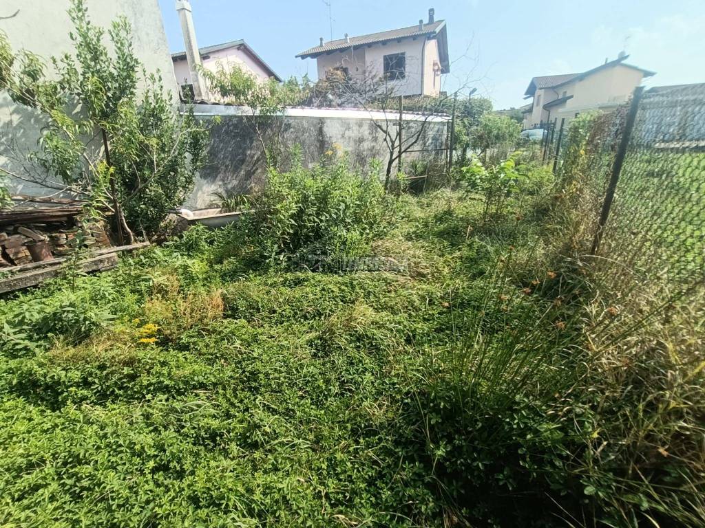 immagine annuncio 2 di 12