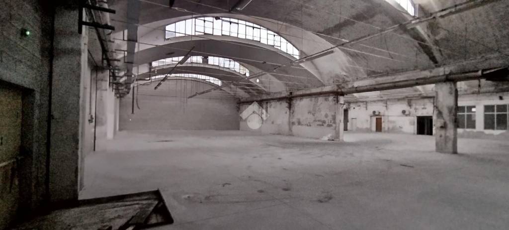 immagine annuncio 11 di 13