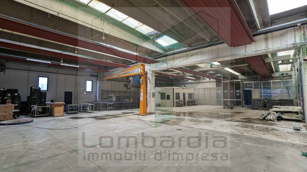 immagine annuncio 2 di 8