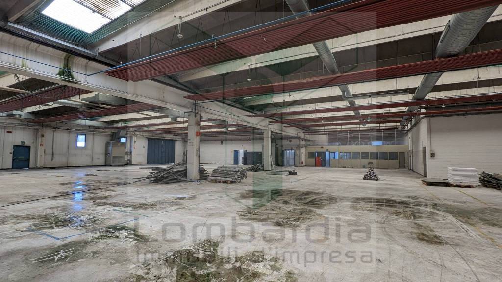 immagine annuncio 4 di 8
