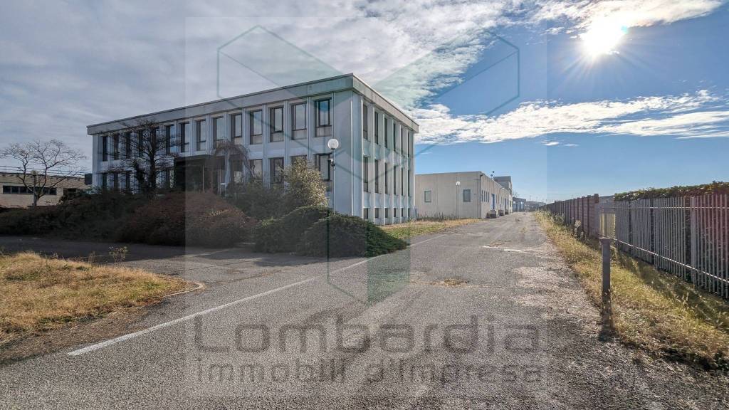 immagine annuncio 6 di 8