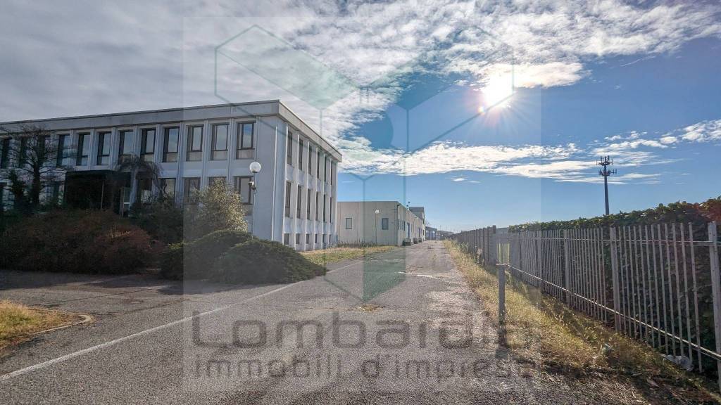 immagine annuncio 7 di 8