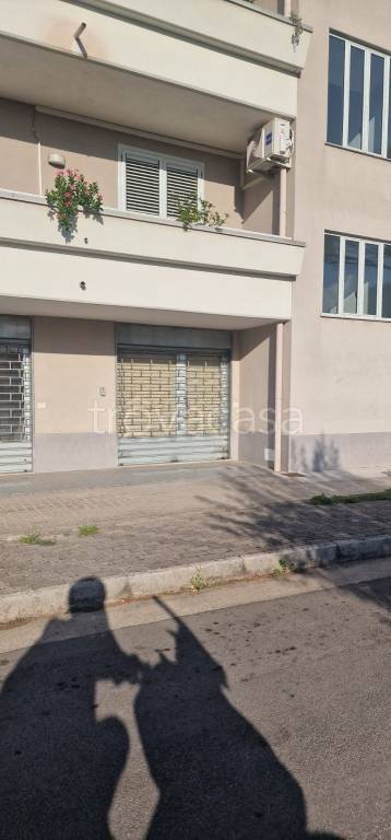 immagine annuncio 1 di 2