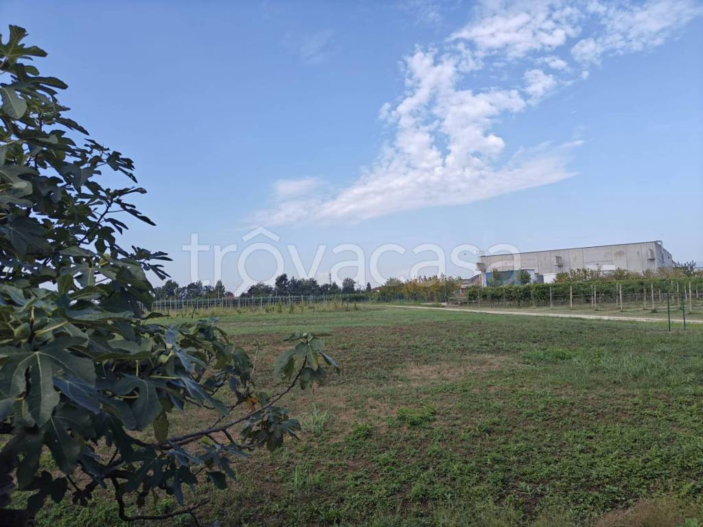 immagine annuncio 2 di 4
