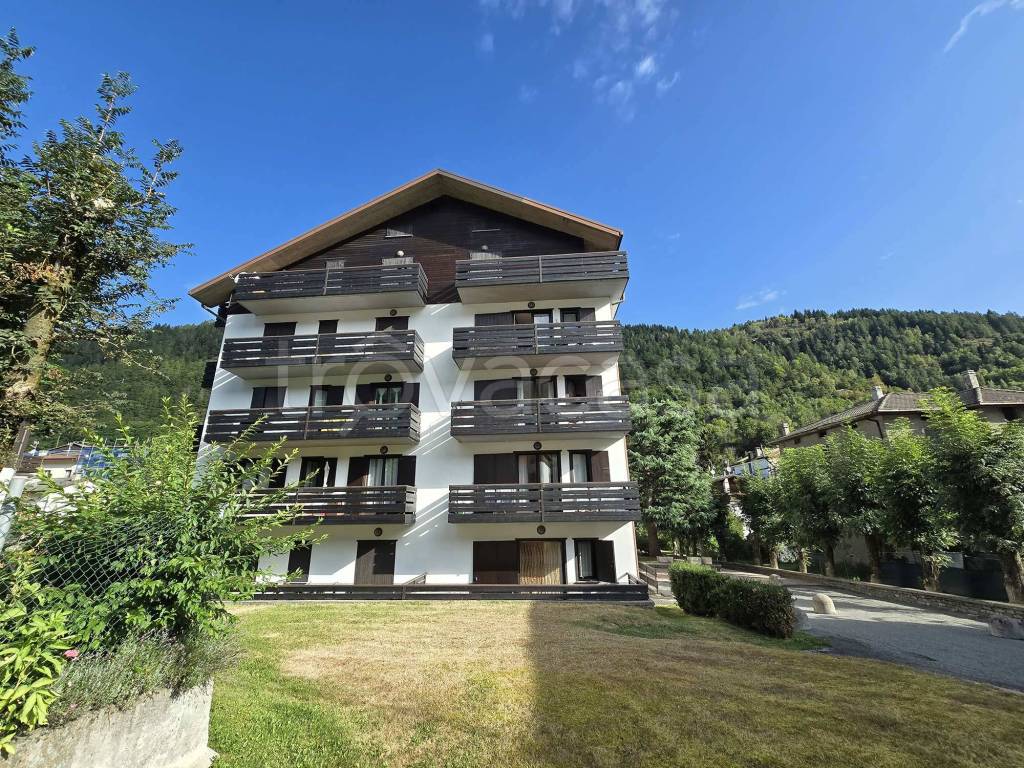 immagine annuncio 10 di 15