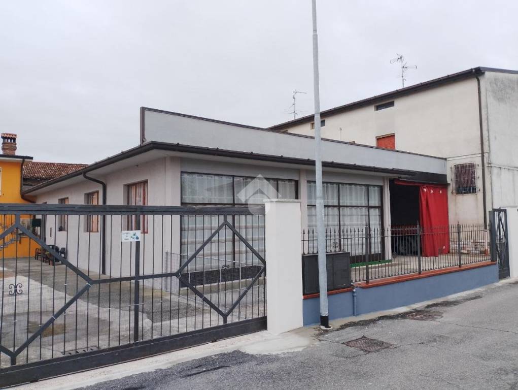 immagine annuncio 1 di 14