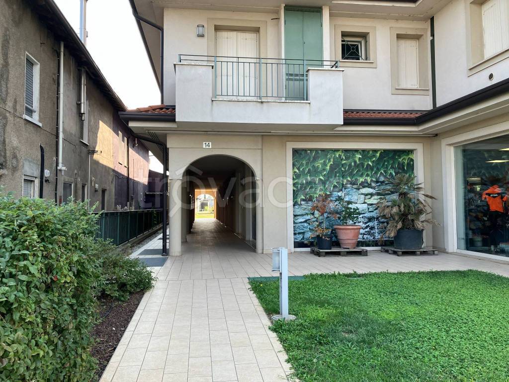 immagine annuncio 2 di 15