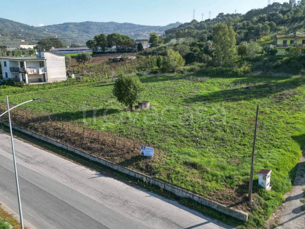 immagine annuncio 5 di 11