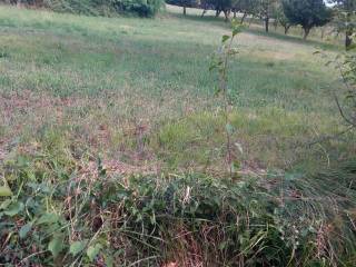 Terreno agricolo in affitto a ponteranica 