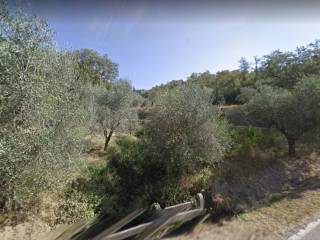 Terreno agricolo in vendita a cortona strada provinciale val di pierle