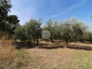 Terreno agricolo in vendita a fara in sabina strada sant'andrea, 1