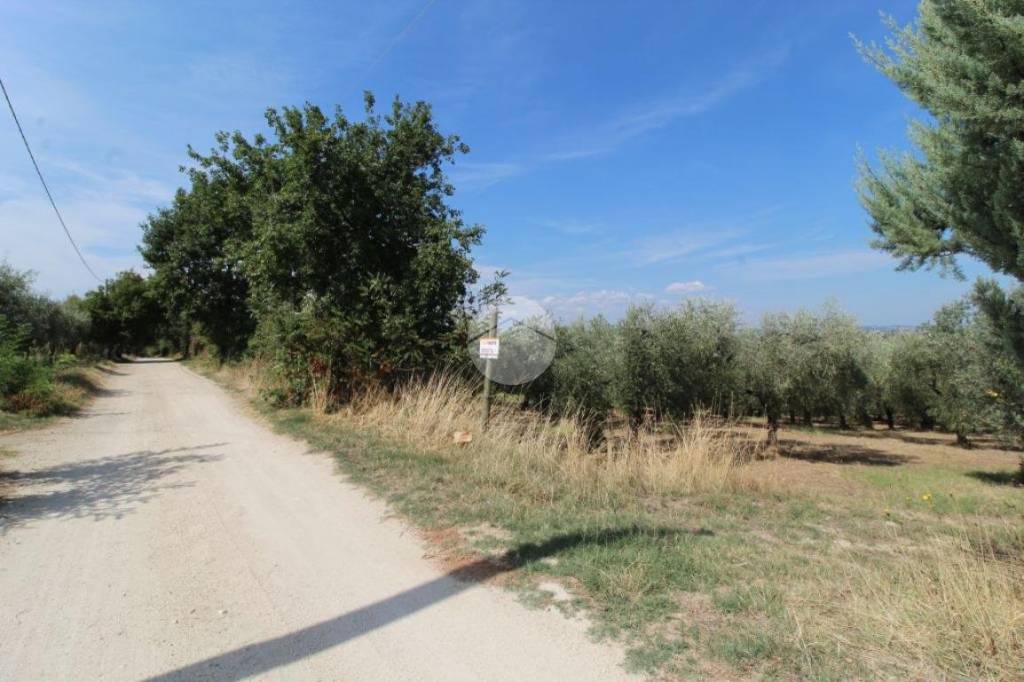 immagine annuncio 11 di 13
