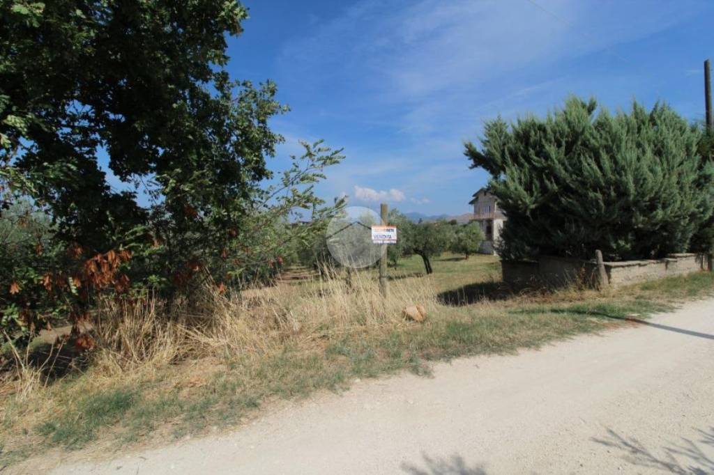 immagine annuncio 12 di 13