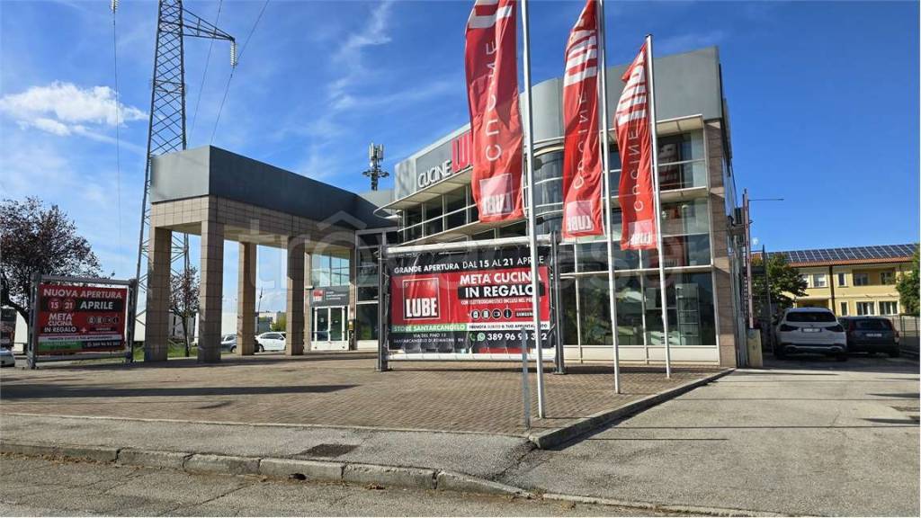 immagine annuncio 4 di 14