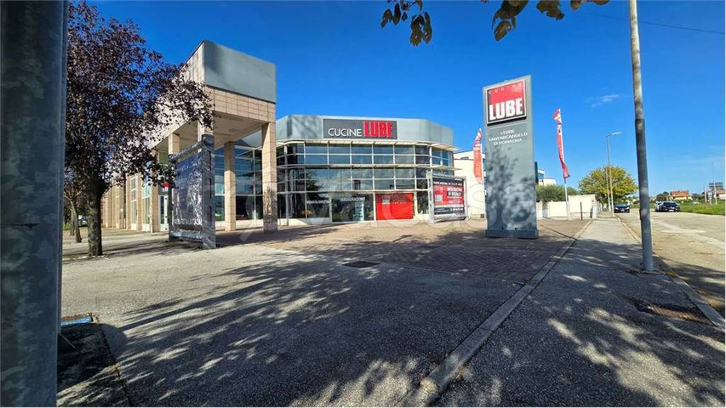 immagine annuncio 5 di 14