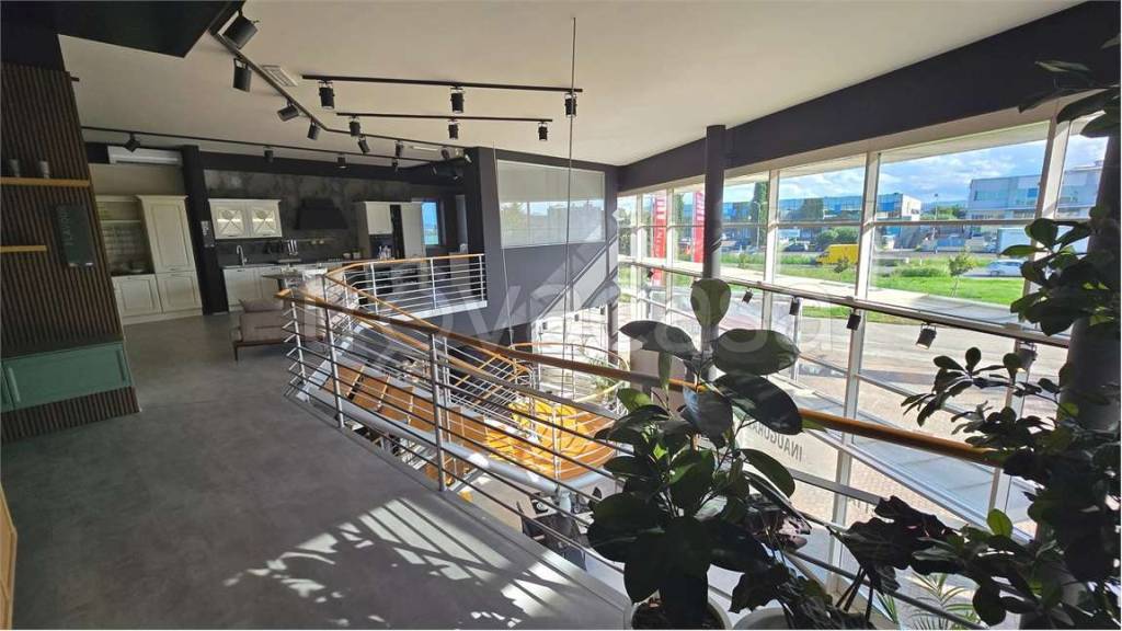 immagine annuncio 10 di 14