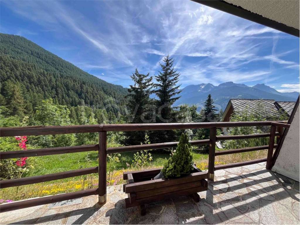 immagine annuncio 3 di 14