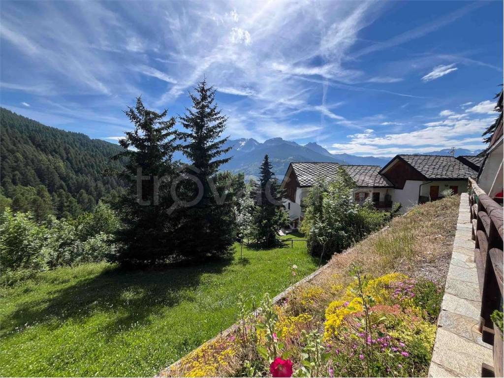 immagine annuncio 4 di 14