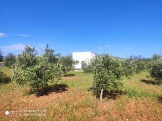 Villa in in vendita da privato a morciano di leuca via murge