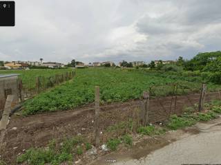 Terreno agricolo in affitto ad acerra via tommaso albarella