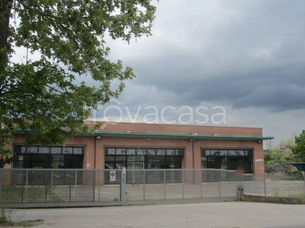 immagine annuncio 1 di 2