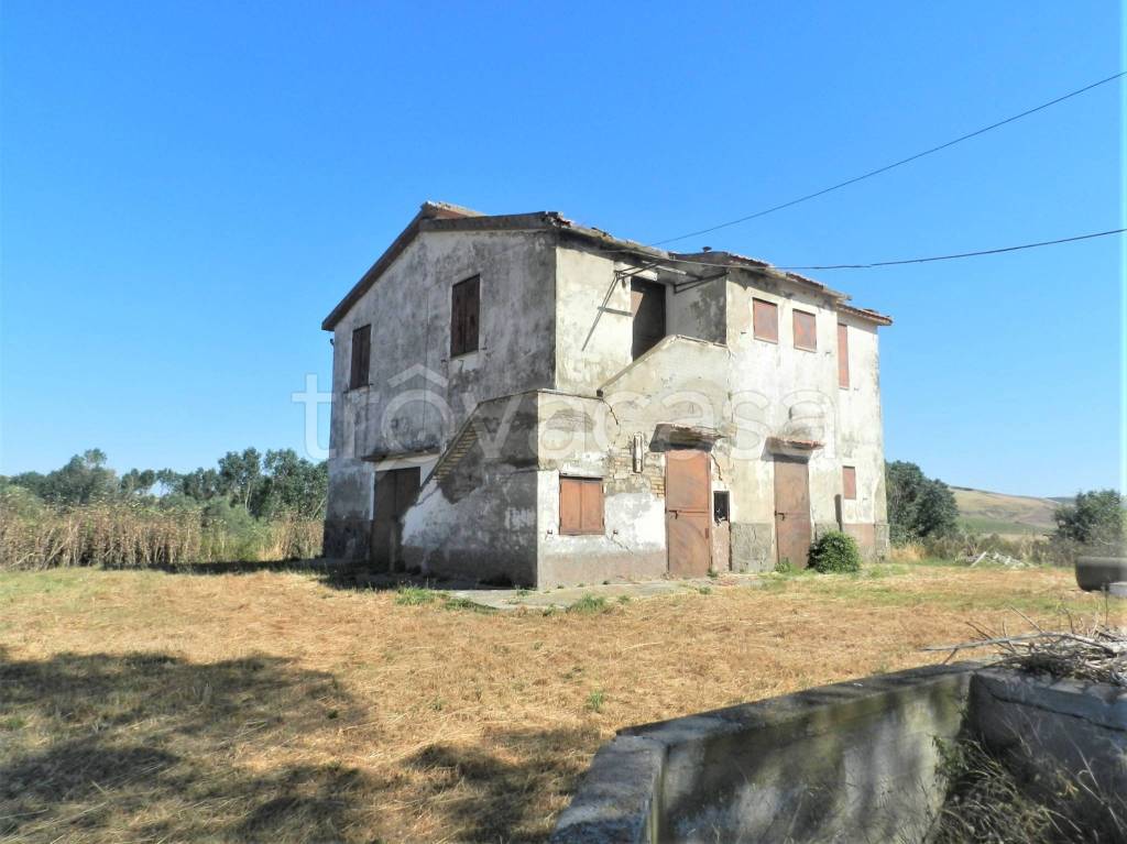immagine annuncio 4 di 12