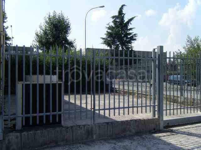 immagine annuncio 1 di 7