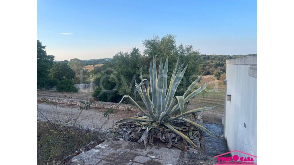 immagine annuncio 4 di 6