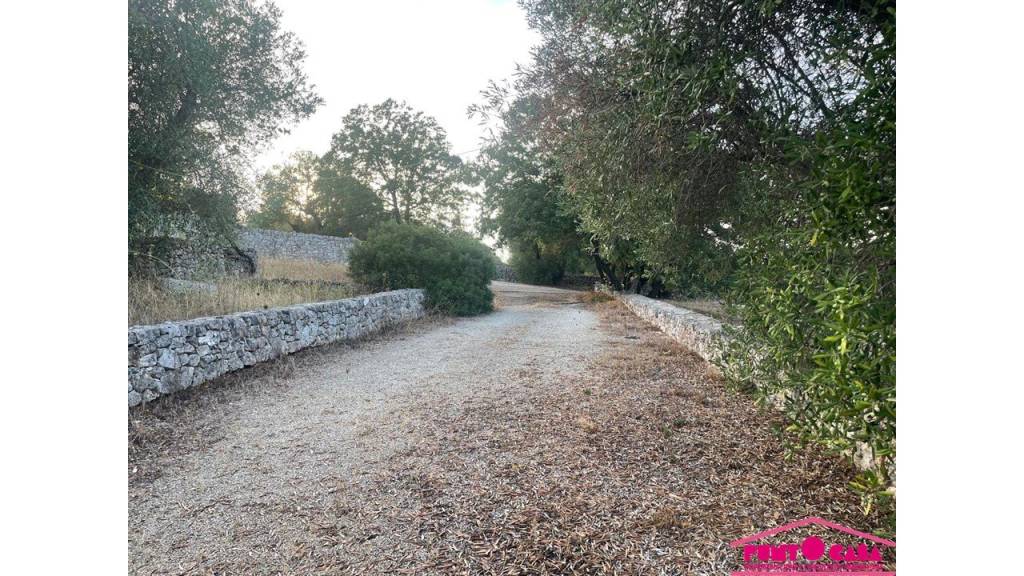 immagine annuncio 5 di 6