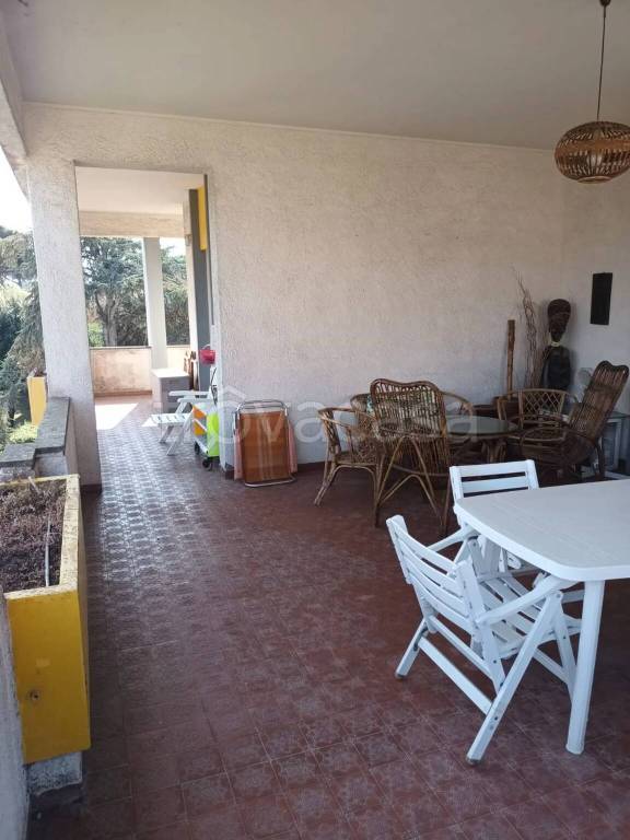 immagine annuncio 11 di 14