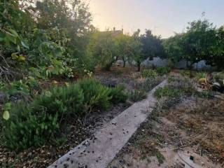 Terreno agricolo in vendita a cabras 