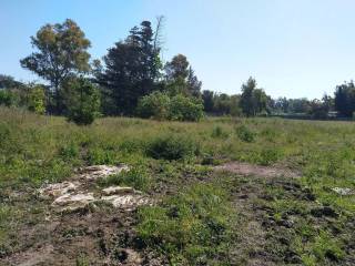 Terreno agricolo in vendita a oristano 