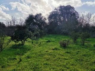 Terreno agricolo in vendita a oristano 