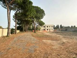 Terreno agricolo in vendita a oristano 