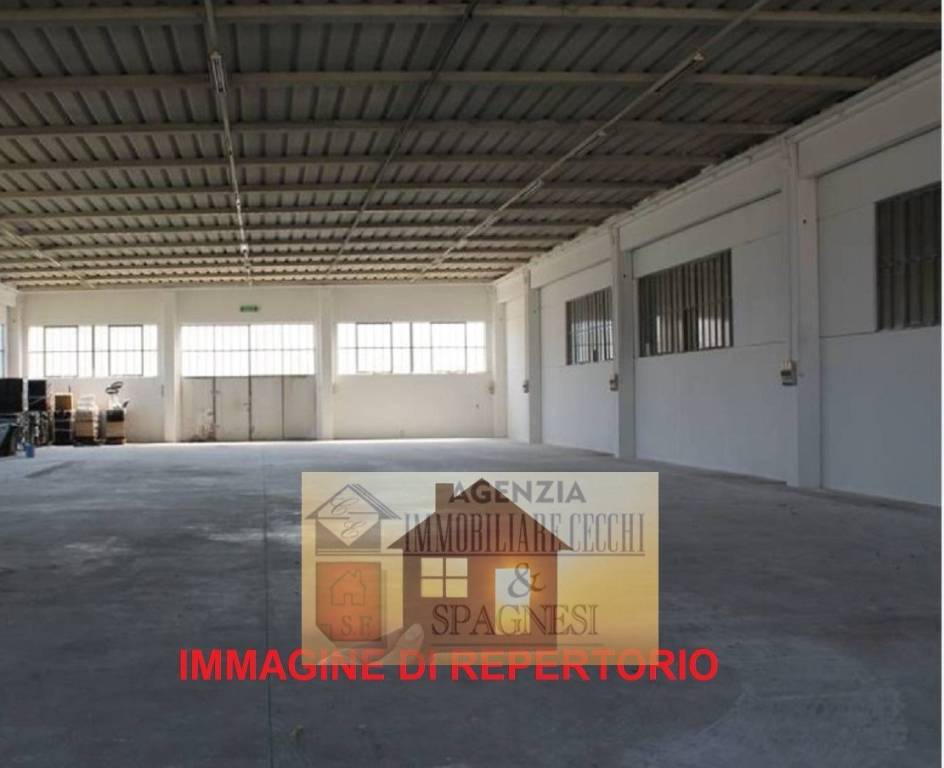 immagine annuncio 4 di 14